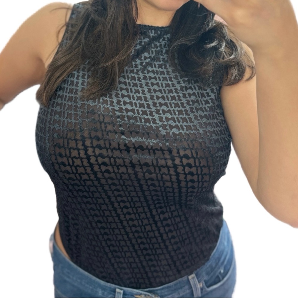 SKIMS Size XL SOOT Monogram Velour Detail Bodysuit Women's  NWT Logo Sheer